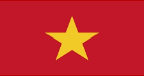 Vietnamese Language